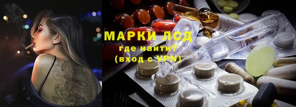 крисы Вязьма