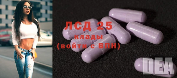 крисы Вязьма
