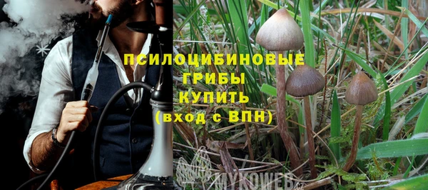 прущий лед Вяземский