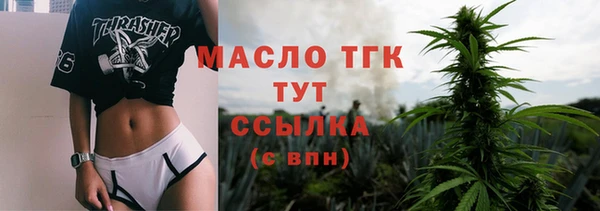 прущий лед Вяземский