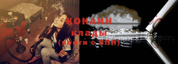крисы Вязьма
