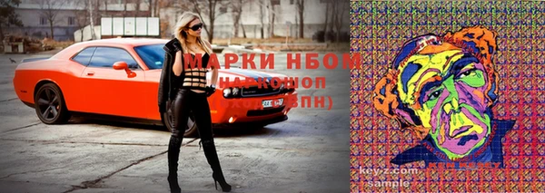 крисы Вязьма