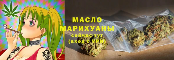 прущий лед Вяземский