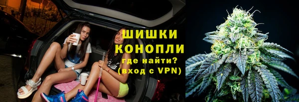 крисы Вязьма