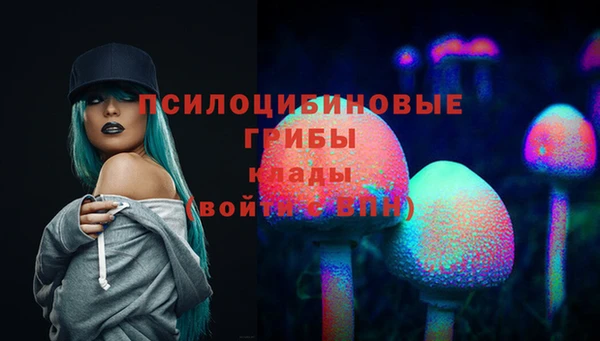 прущий лед Вяземский