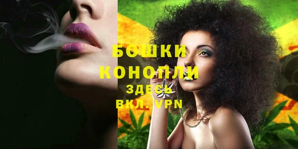 крисы Вязьма